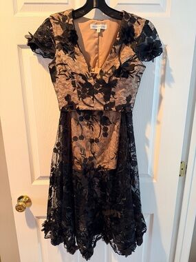 Dress the Population Black Lace Overlay with Nude Underlay Midi Dress